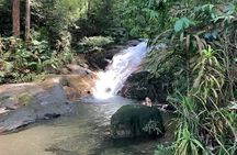 Batu Caves Skywalk and Waterfalls Adventure