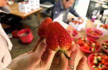 Nonsan 1Day Tour: K-Drama Filming Site & Local Experience
