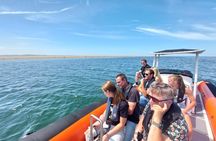 Seal Watching RIB Tour from Terschelling