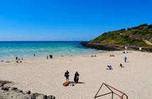 Jeju Private Car Charter Tour