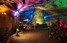 Jeju Private Car Charter Tour