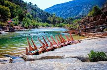 Paradise Valley Private Tour from Agadir and Taghazout