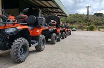 Quad safari adventure and taste of Crete