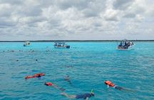 Shared Snorkeling Tour Playa El Cielo in Cozumel