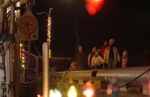 Holiday Lights Bus Tour from St John's to Port de Grave