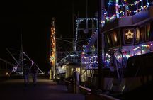 Holiday Lights Bus Tour from St John's to Port de Grave