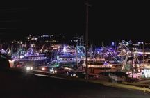 Holiday Lights Bus Tour from St John's to Port de Grave