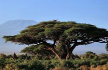 4 Days Group Safari Camping