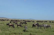 4 Days Group Safari Camping