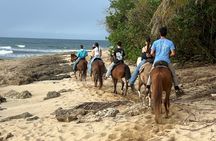 Horseback Riding Tours on Aguadilla Beach