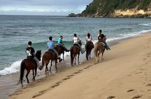 Horseback Riding Tours on Aguadilla Beach