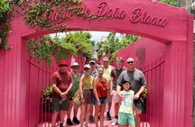 Private tour of Puerto Plata: history, culture, rum, chocolate.