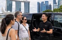 Singapore Private Tour by Car with Local Guide & Hidden Gems