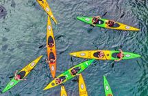 Sorrento Guided Kayak Tour