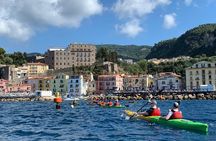 Sorrento Guided Kayak Tour