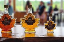 Explore Niagara: US and Canadian Falls in One Day
