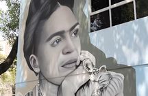 Coyoacán Walking Tour: Access to Frida Kahlo Museum & Tacos