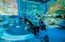 Richmond Immersive Monet Experience