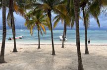Swim with sea turtles & discover hidden cenotes like a local