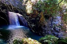 Gold Coast Private Tour at Scenic Hinterland Waterfalls