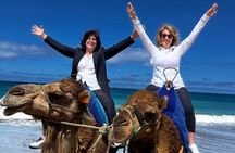 Tangier & Camel Ride: Private Luxury Half-Day Tour