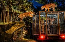 Bali Night Safari Experience