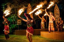 Bali Night Safari Experience