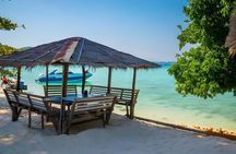 Koh Larn Monkey Beach Full Day Private Tour