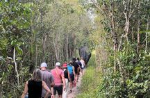 Special Kulen Elephant Forest Tour with Airport Transfer