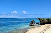 North Beaches Private tour with licensed interpreter guide/driver