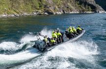 RIB Adventure to Modalen Guided Fjord Safari from Bergen