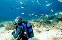 Discover Scuba Diving in Malta