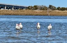 Oregon Inlet Kayak Tour