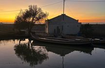 Experience Albufera from Valencia at sunset and boat trip