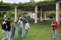 Small Group Arlington Cemetery & Changing of the Guard Tour