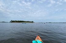 Shark Tooth Island Kayak Rental