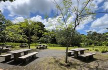 Excursion to the heart of Raiatea and its ancestral culture
