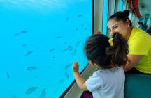 90 Minutes Glass Bottom Boat with Mermaid Show