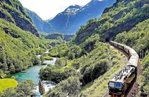 Private Full Day Oslo to Sognefjord with Flam Railway Stegastein