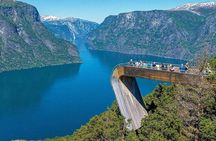 Private Full Day Oslo to Sognefjord with Flam Railway Stegastein