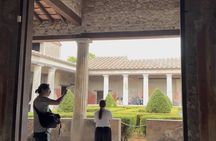 From Naples Pompeii Tour with Guide Ticket and Transfer Included