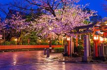 Kyoto Gion Backstreets and Geisha Traditions Tour