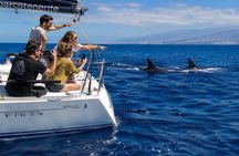 Small group sailing excursion 'Dreamer' with swimming