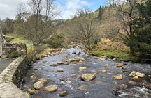 Dublin Wicklow Mountains & Dublin Highlights Tour