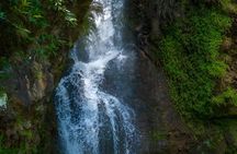 South Mauritius Private Tour to Volcanoes and Temples