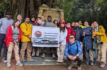 Best Mount Kilimanjaro Day Hike to Mandara Hut via Marangu Route