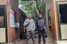 Best Mount Kilimanjaro Day Hike to Mandara Hut via Marangu Route