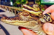 Sawgrass Park: Private Everglades Airboat Adventure