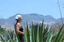 Mezcal Distilleries : Local Producers Palenque and Tasting
