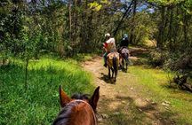 Horseback Ride Around Medellín's Beautiful Countryside!